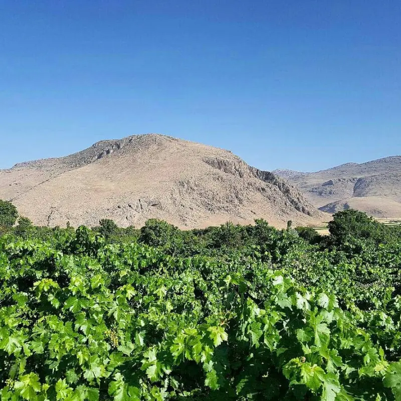 روستای کندوله - تصویر 2