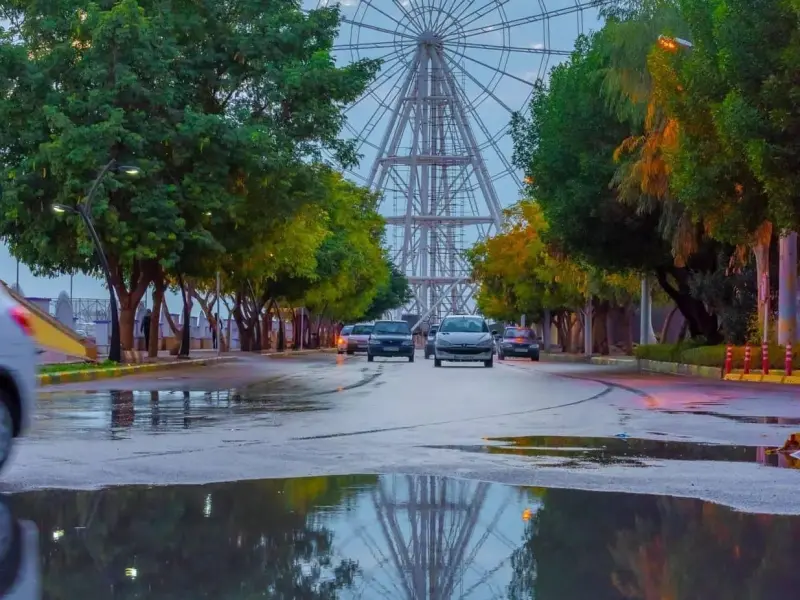 بوستان ساحلی‌ شغاب - تصویر 7