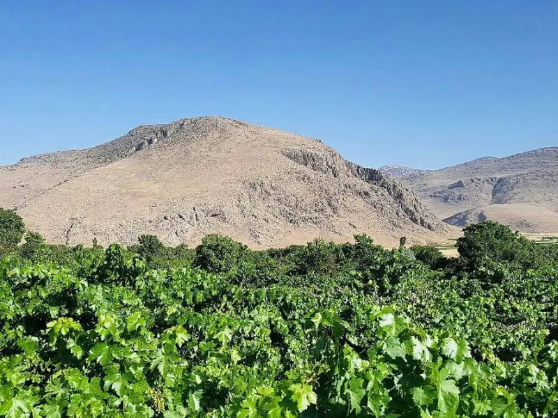 روستای کندوله - تصویر 2