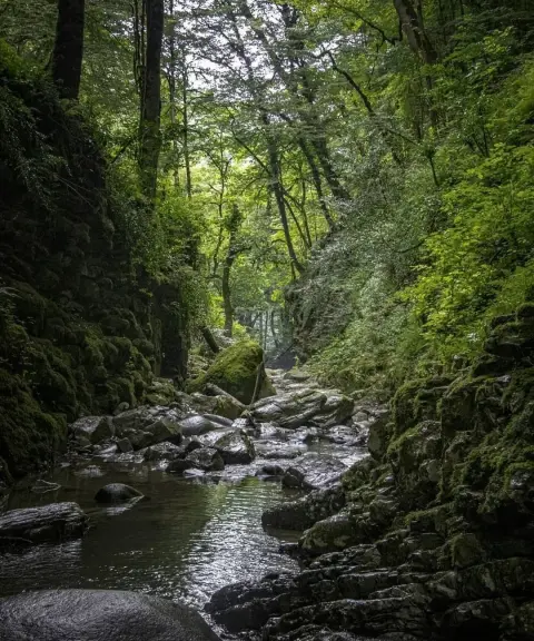 آبشار ماهی مشو، گیلان
