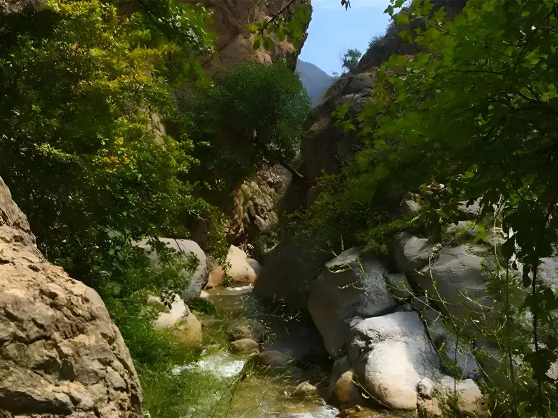 روستای فینسک - تصویر 3