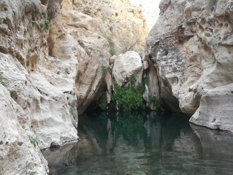 تنگ مخدان - تصویر 5