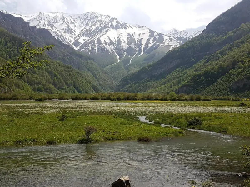 دشت دریاسر - تصویر 1