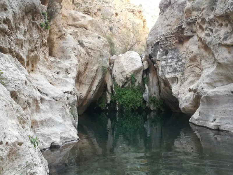 تنگ مخدان - تصویر 5