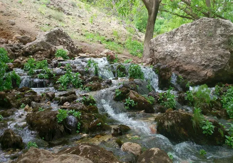 غار کاوات - تصویر 1