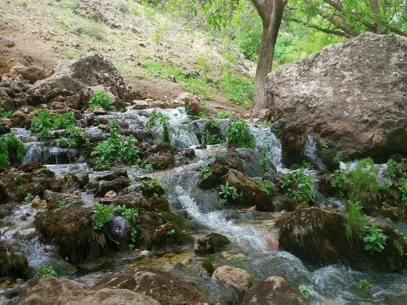 غار کاوات - تصویر 1