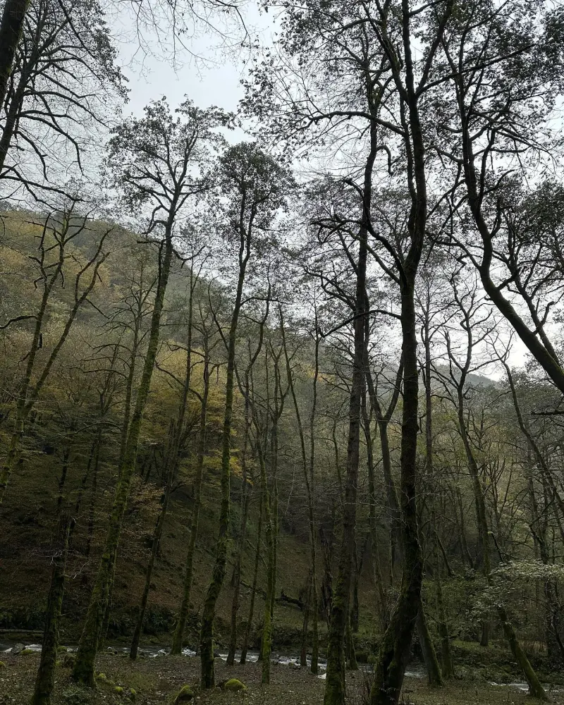 آبشار موتالان - تصویر 3