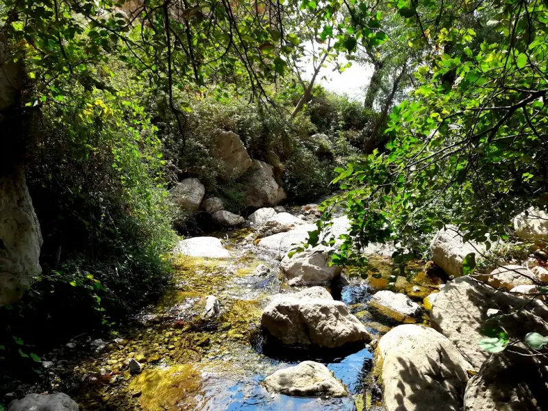 آبشار باباروزبهان - تصویر 1