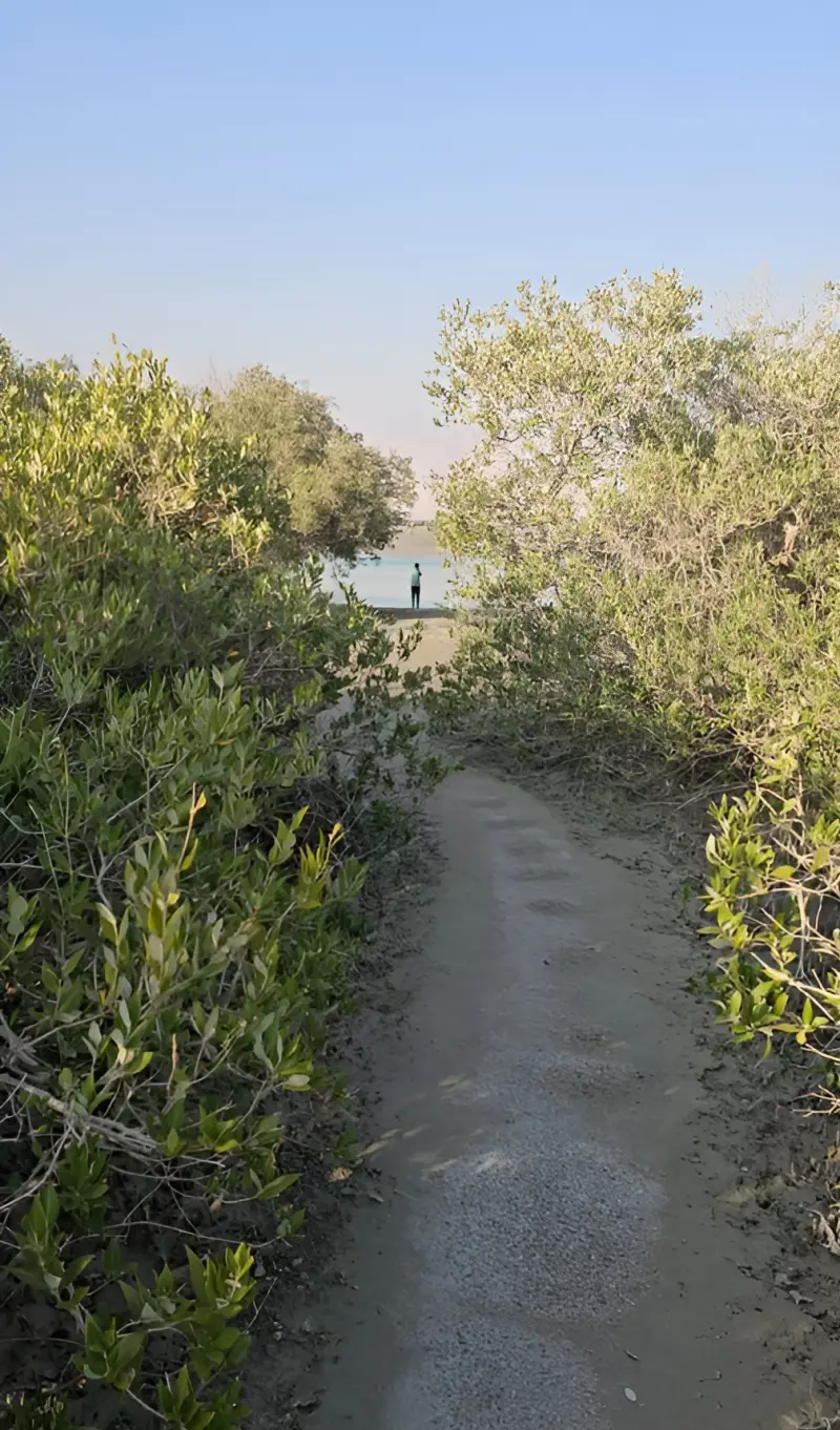 جزیره مردو - تصویر 3