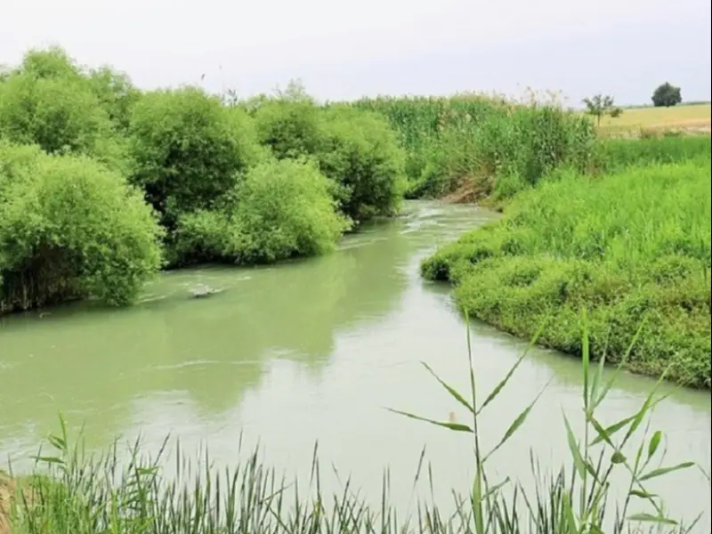 تالاب بامدژ