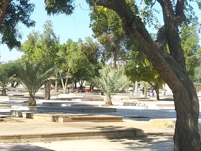 پارک جنگلی خلیج فارس - تصویر 4