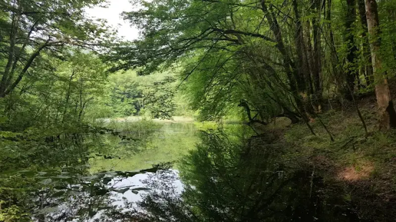 دریاچه گل پل - تصویر 2