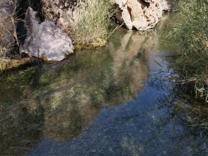 چشمه گلابی - تصویر 2