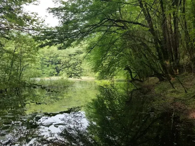 دریاچه گل پل - تصویر 2