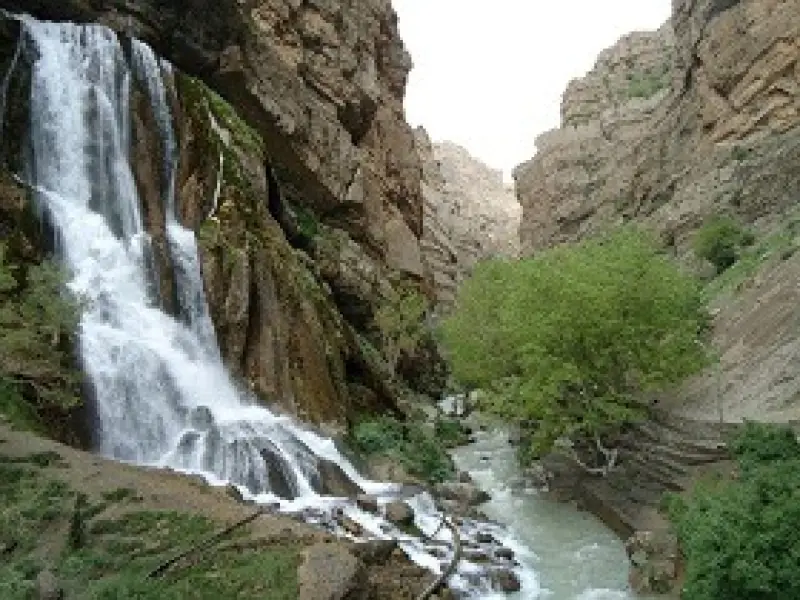 چال ماهی تهران