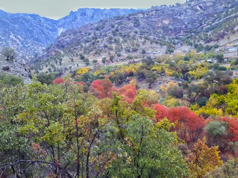 روستای مهرنجان