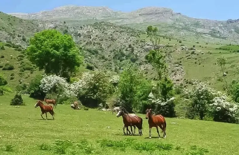 روستای فشکور - تصویر 3