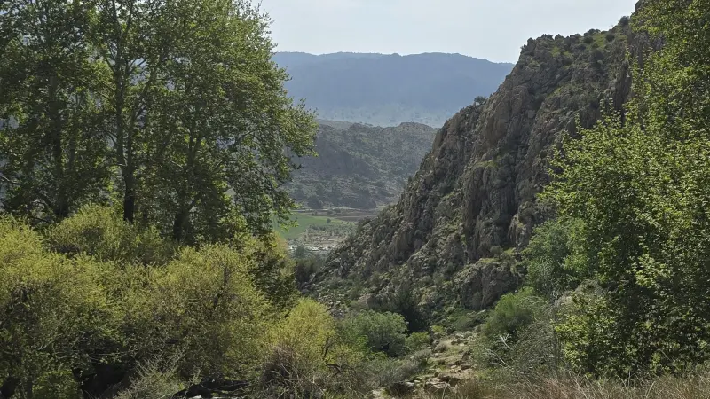 تنگ هرایرز - تصویر 4