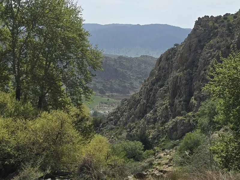 تنگ هرایرز - تصویر 4