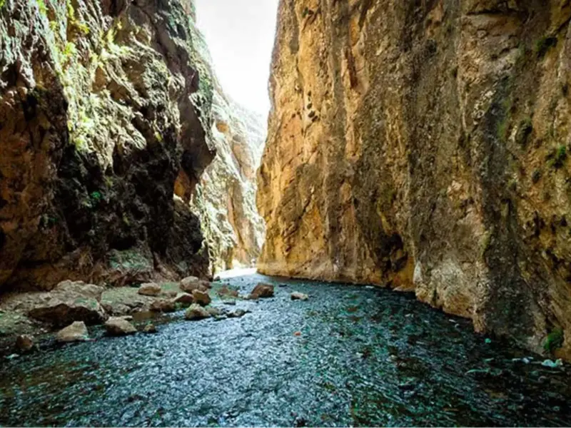 تنگه واشی