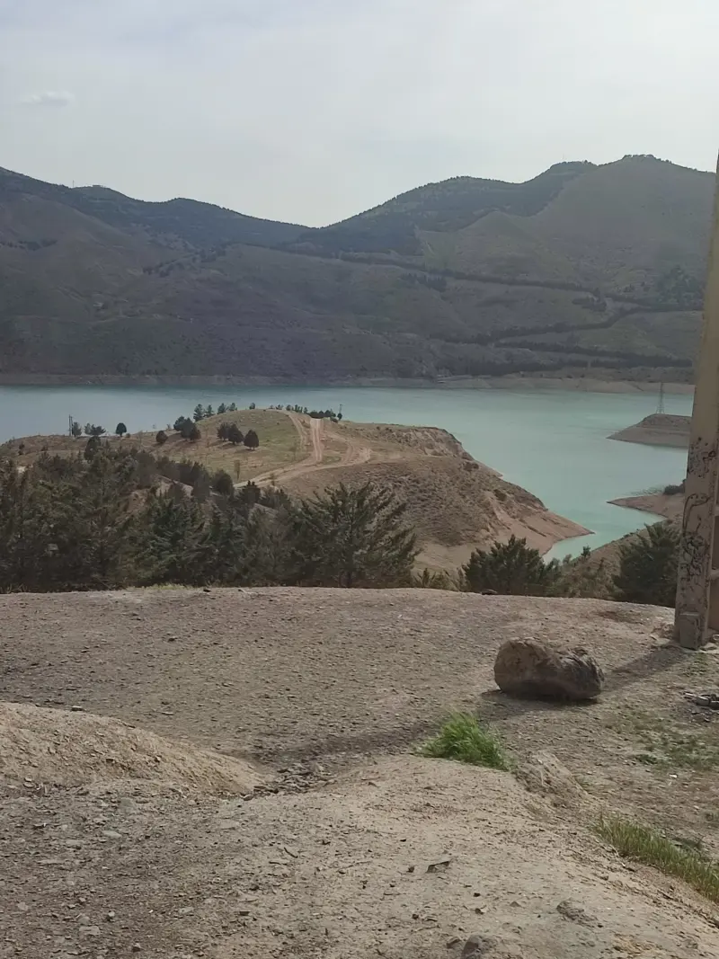 پارک جنگلی لتیان - تصویر 8