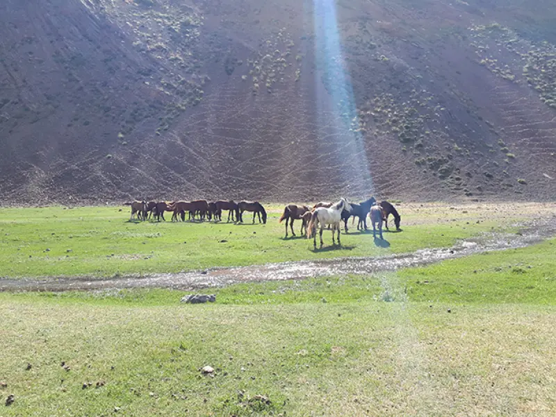 قله کهون - تصویر 5