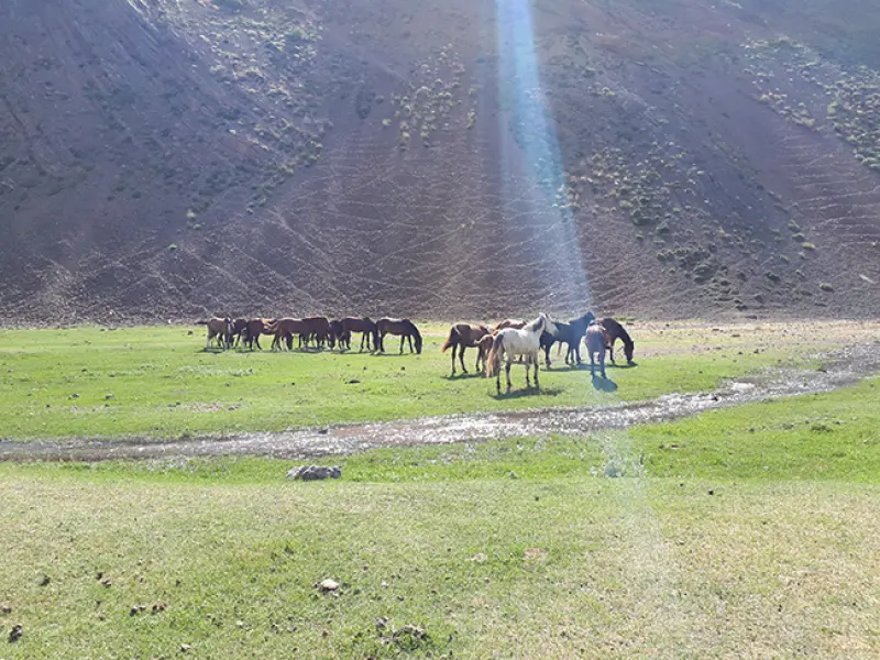 قله کهون - تصویر 5