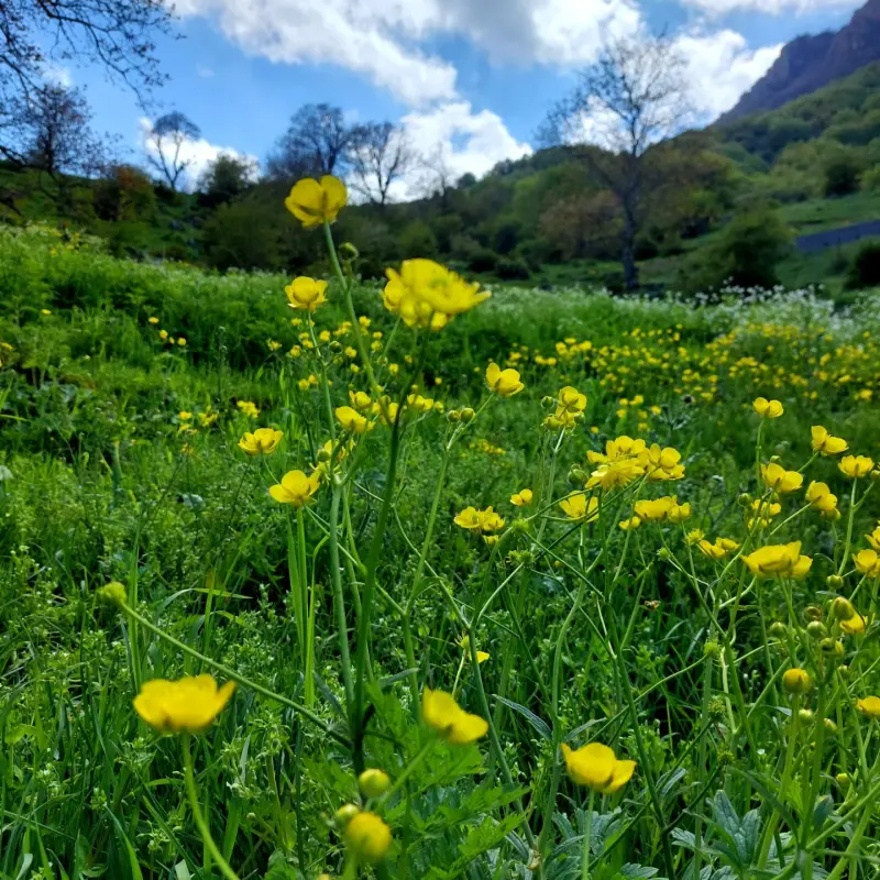 روستای اوریم - تصویر 2