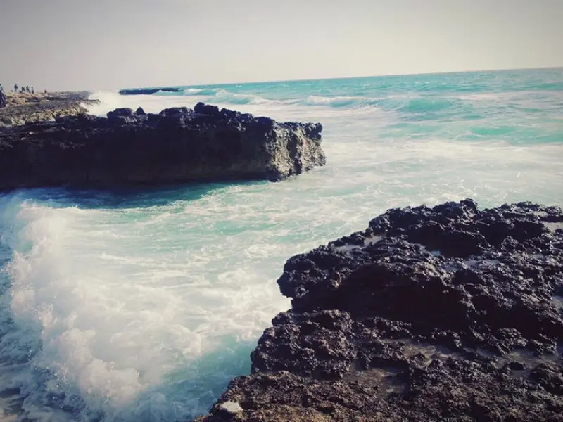 ساحل کلبه هور - تصویر 5