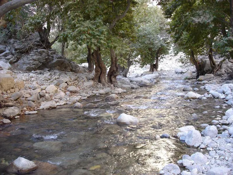 تنگ تهی - تصویر 3