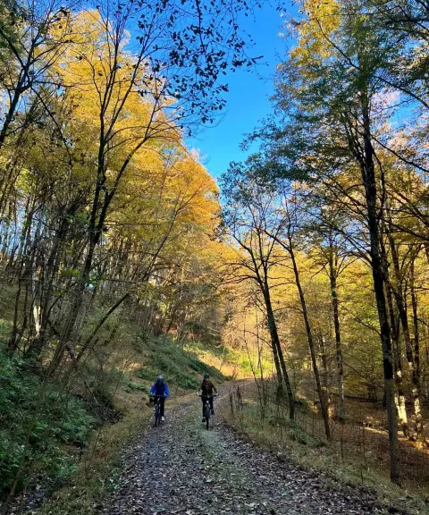پارک جنگلی خانیکان، مازندران