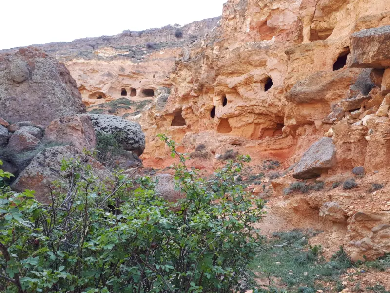 غارهای بنه لر