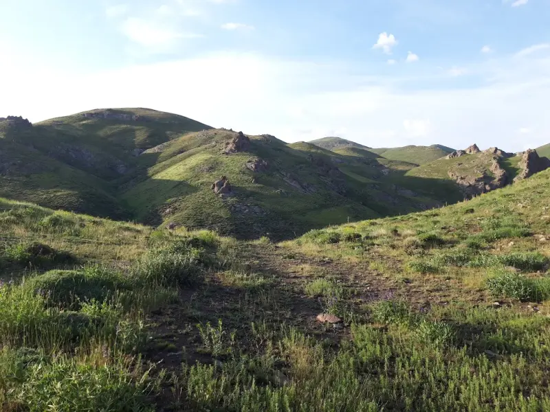 آبشار شیران - تصویر 1