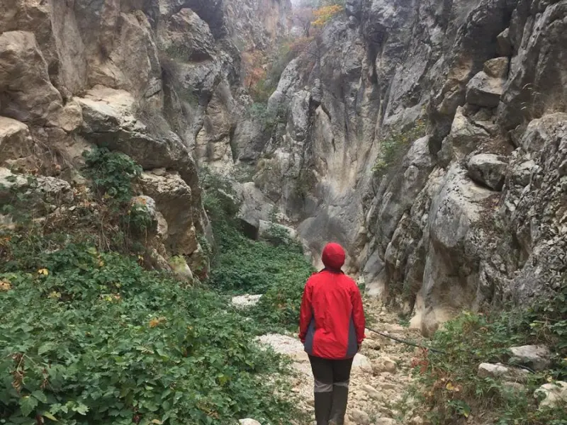 دره کنگره‌ - تصویر 1