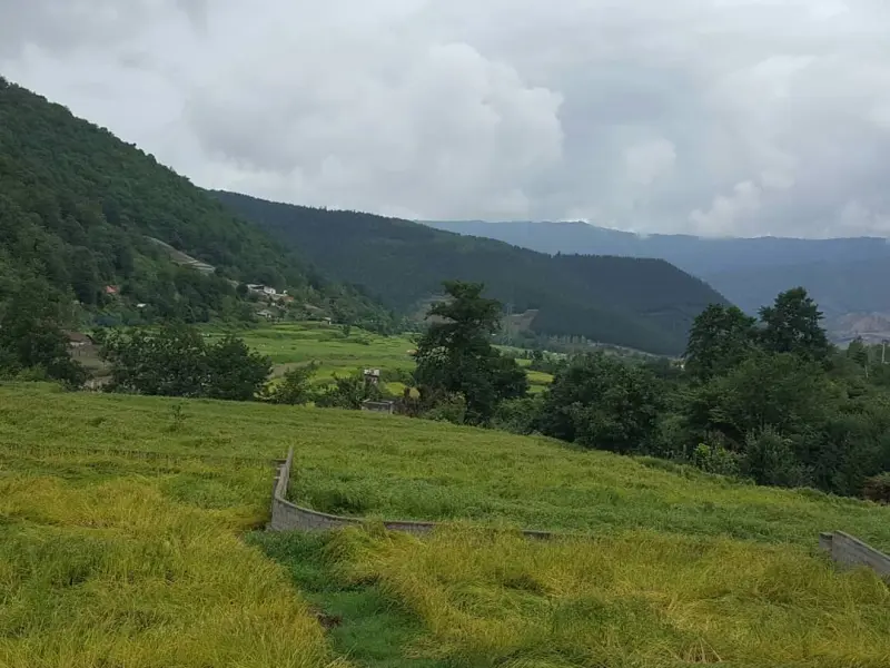 روستای گل خواران - تصویر 1