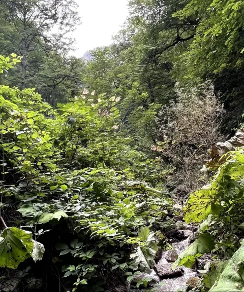 دره تل انبار، گلستان