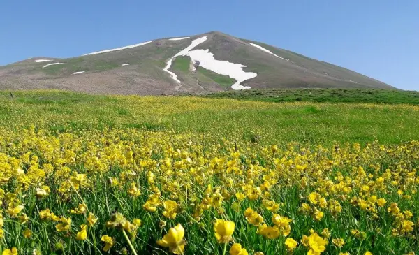 باشگاه کوهنوردی ایرانیان - تصویر 4