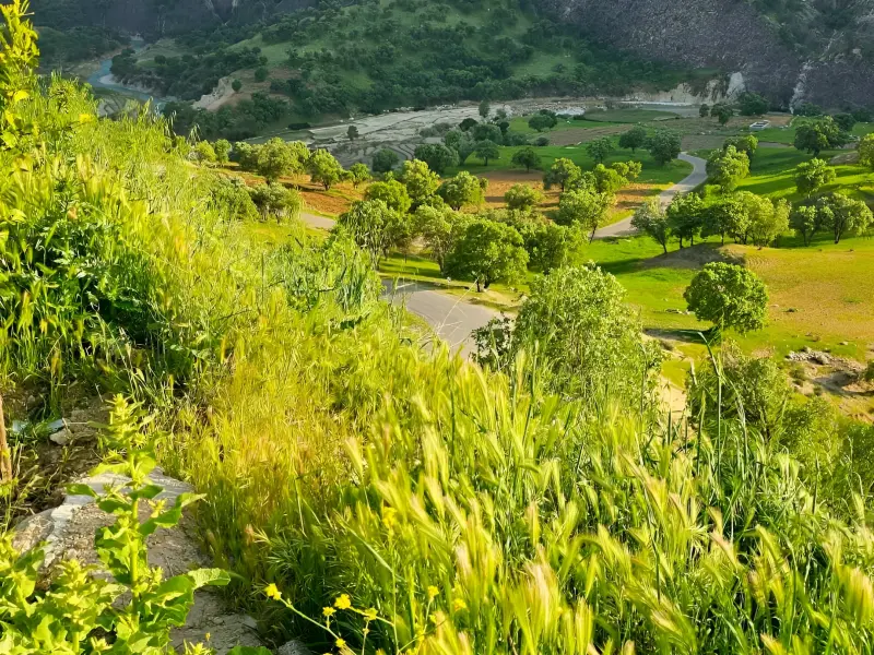 روستای مهرنجان - تصویر 3