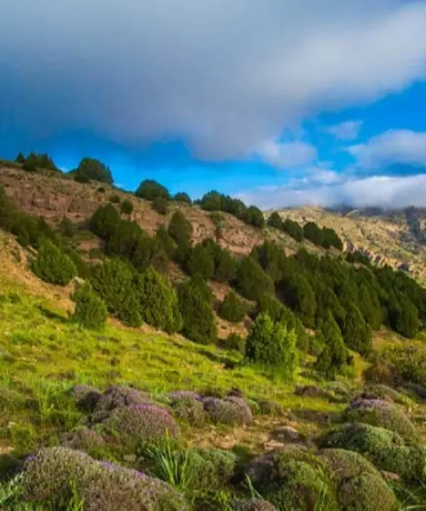 دره سیستان، خراسان رضوی