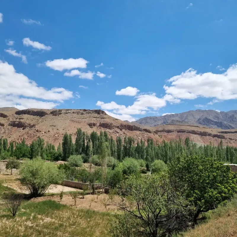 روستای بلغور - تصویر 5