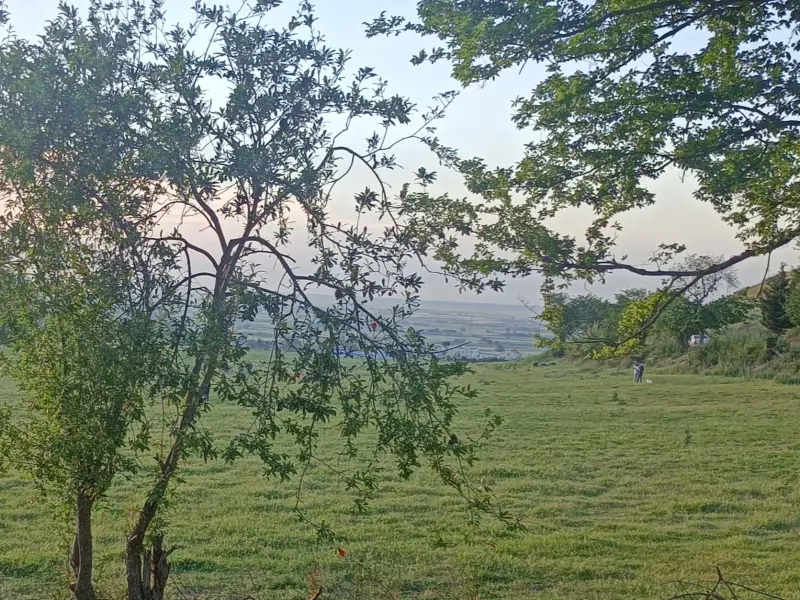 چشمه پلنگ خیل - تصویر 5