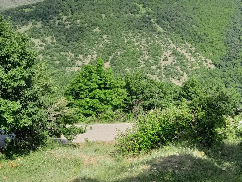 دره مکیدی - تصویر 2