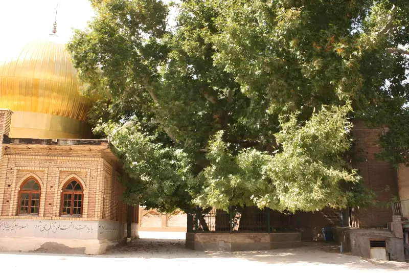 روستای زرآباد قزوین - تصویر 1
