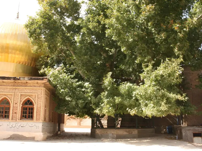 روستای زرآباد قزوین - تصویر 1