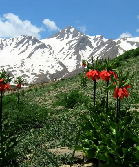 قله شاهان کوه، اصفهان