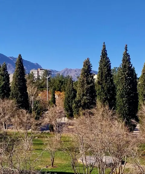 پارک جنگلی بیرجند، خراسان جنوبی