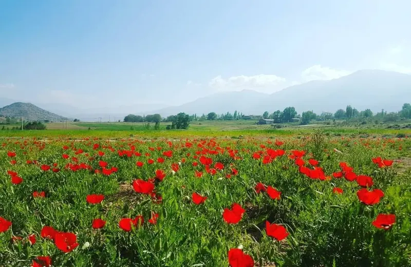 روستای پشرت - تصویر 3