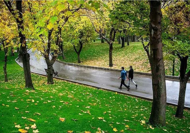 پارک ساعی - تصویر 7