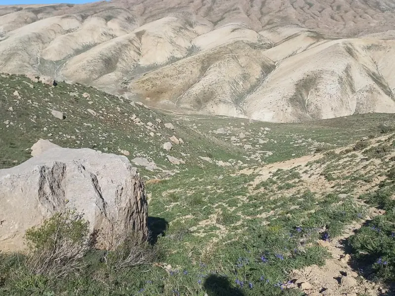قله رنج - تصویر 4