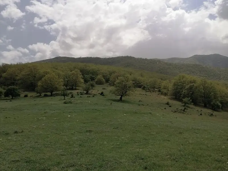 دره کنگره‌ - تصویر 4
